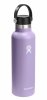 Hydro Flask STANDARD MOUTH Stalowa Butelka Termiczna do Wody 620 ml / Fioletowa